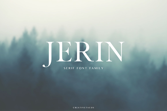 New Year SALE! - Serif Bundle! in Serif Fonts - product preview 16