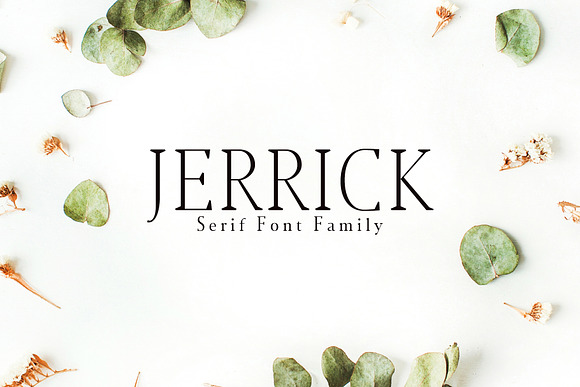 New Year SALE! - Serif Bundle! in Serif Fonts - product preview 21