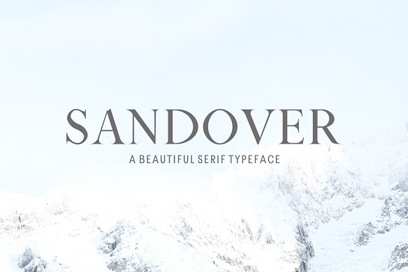 New Year SALE! - Serif Bundle! in Serif Fonts - product preview 29