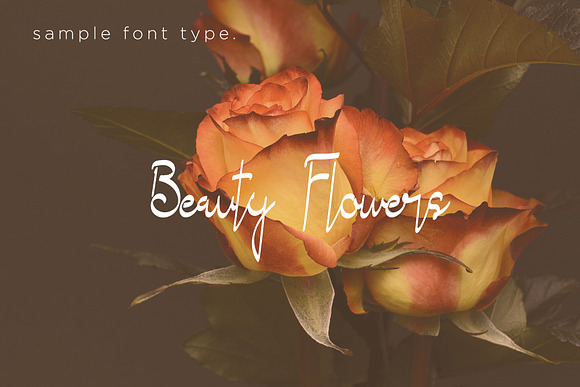 Moonalitta // Feminine Font Type in Script Fonts - product preview 2
