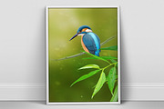 Kingfisher Portrait A4 psd Poster