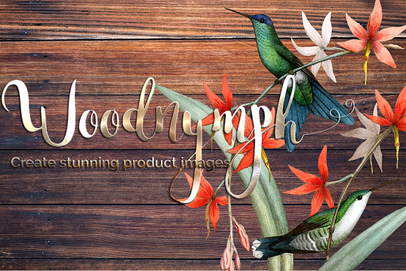 Hummingbird Violet-Capped Woodnymph in Illustrations - product preview 5