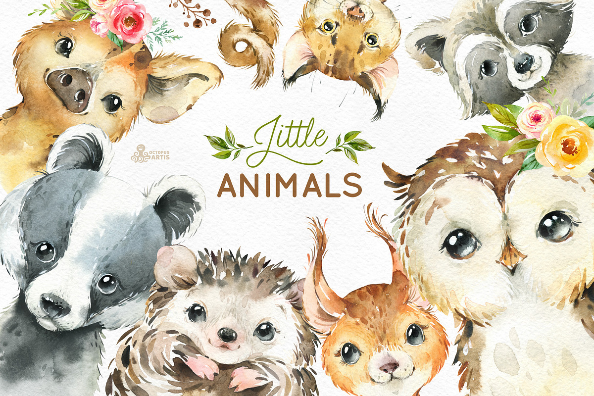 Woodland. Little Watercolor Animals in Objects - product preview 8