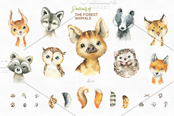 Woodland. Little Watercolor Animals in Objects - product preview 1