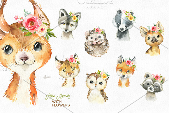 Woodland. Little Watercolor Animals in Objects - product preview 2
