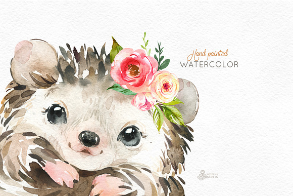 Woodland. Little Watercolor Animals in Objects - product preview 3