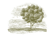 Woodcut Tree and Countryside