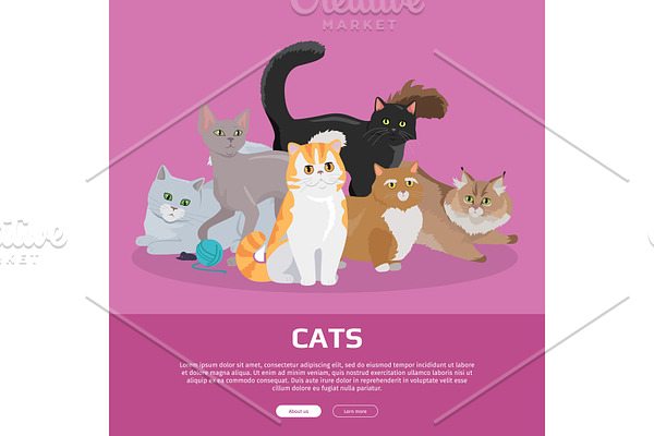 Cats Breeds Flat Vector Web Banner