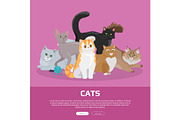 Cats Breeds Flat Vector Web Banner