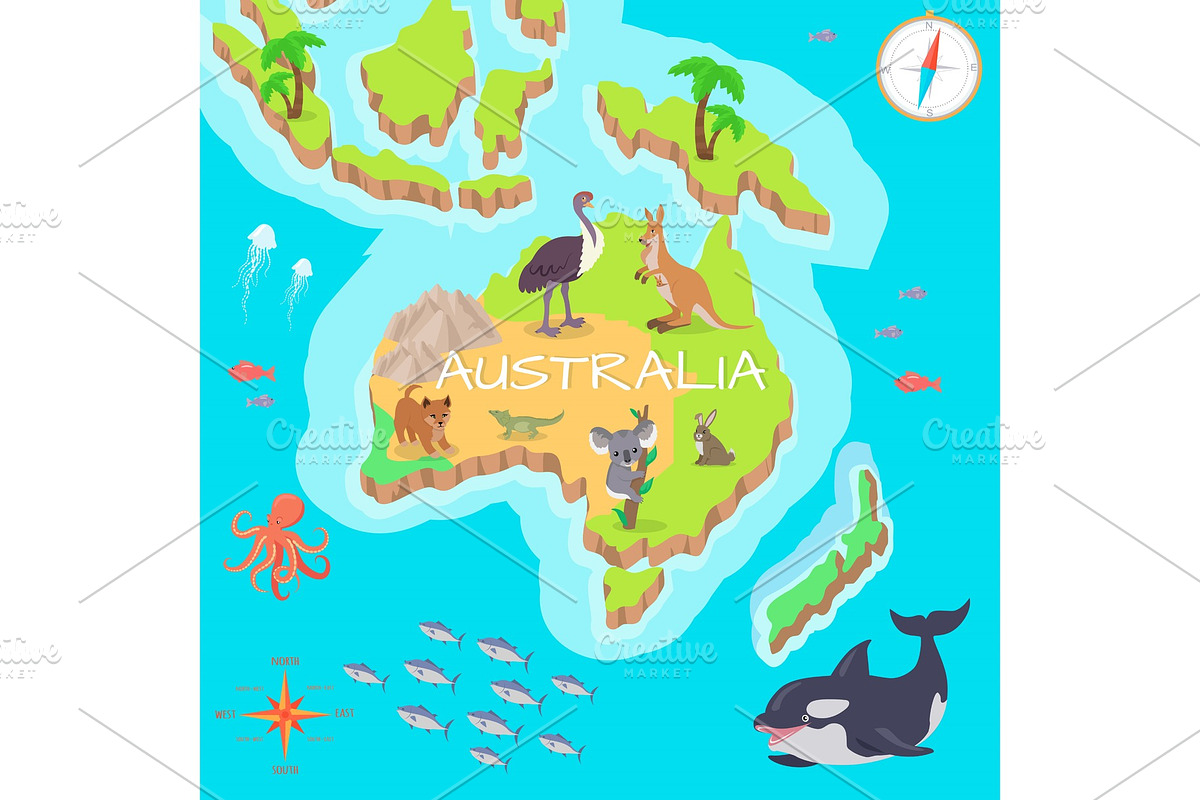 Australia Isometric Map with Flora in Illustrations - product preview 8