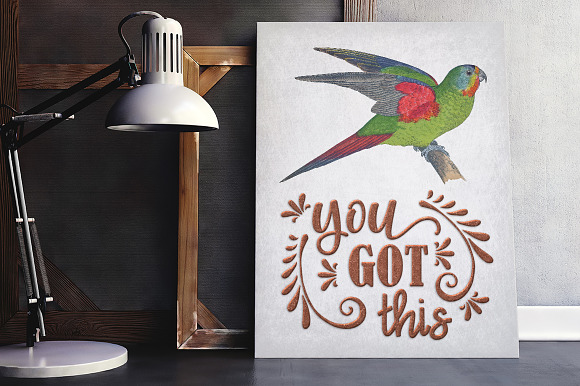 Parrot Lorikeet Parrot in Illustrations - product preview 3