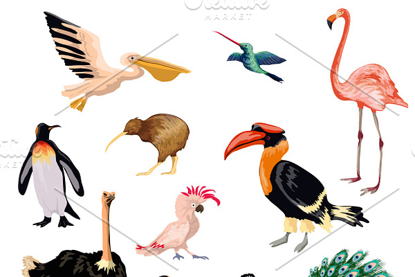 Exotic birds decorative icons set