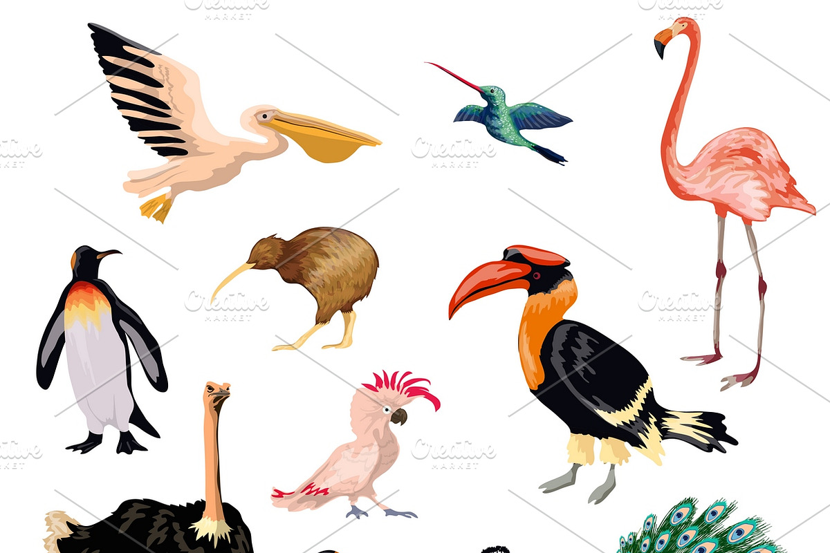 Exotic birds decorative icons set in Icons - product preview 8