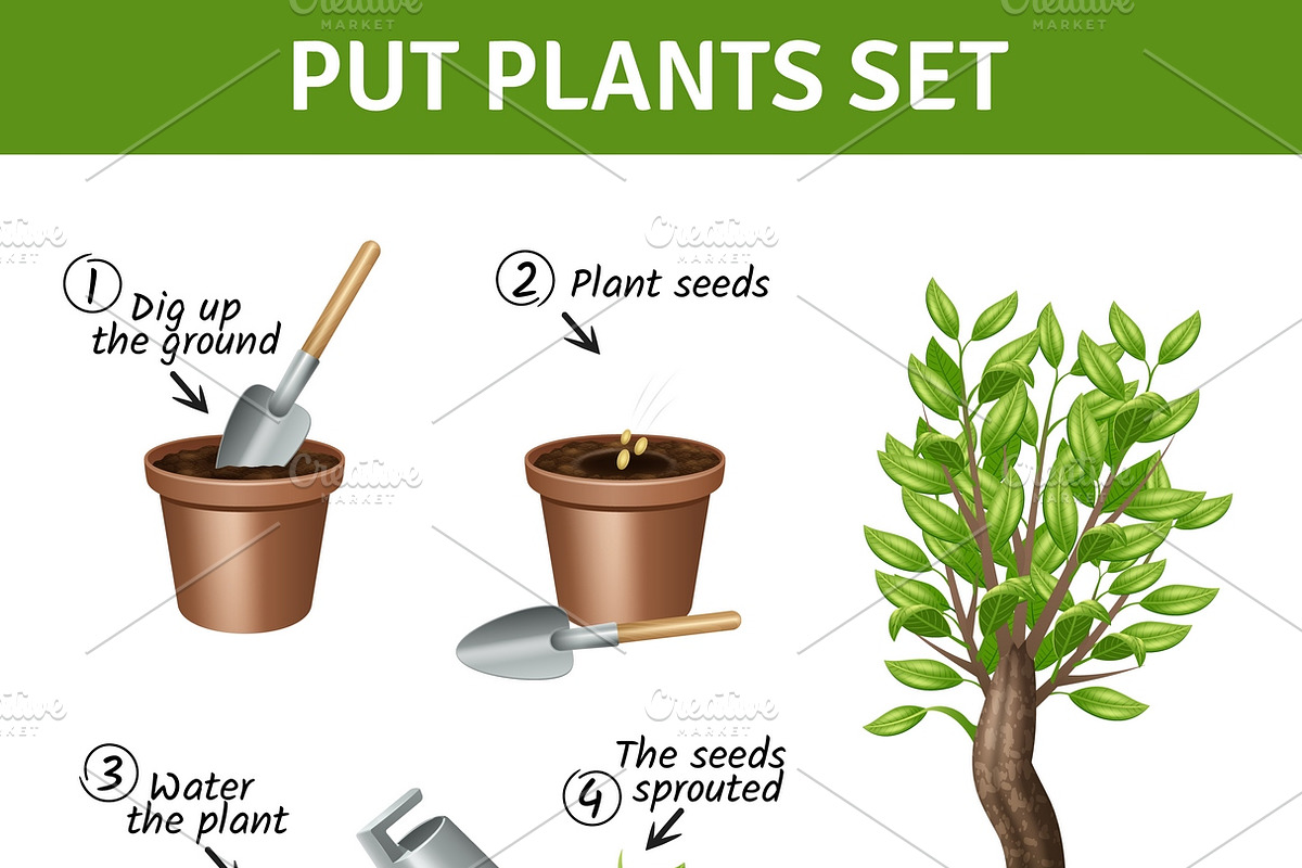 Putting and growing plants set in Icons - product preview 8