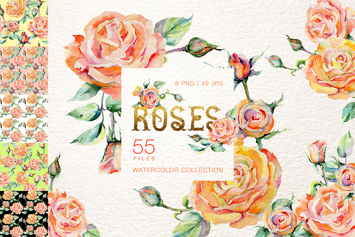 Stylish rose Watercolor png in Illustrations - product preview 8