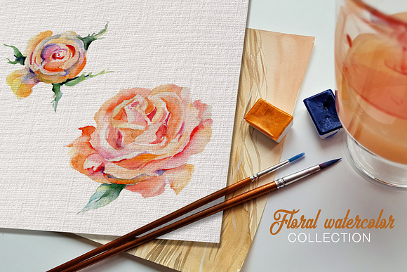 Stylish rose Watercolor png in Illustrations - product preview 1