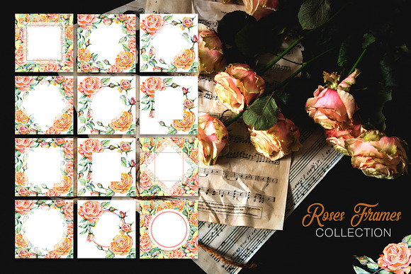 Stylish rose Watercolor png in Illustrations - product preview 2
