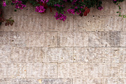 Stones rock tile wall with flowers