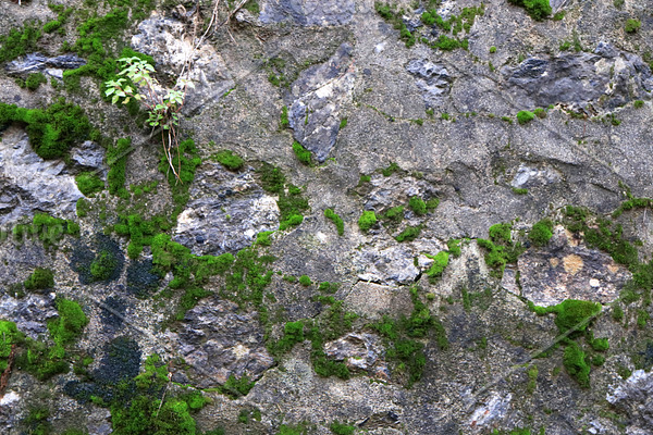 Rocky stone wall with moss texture