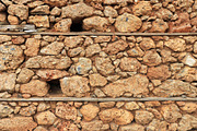 Shell rock wall texture