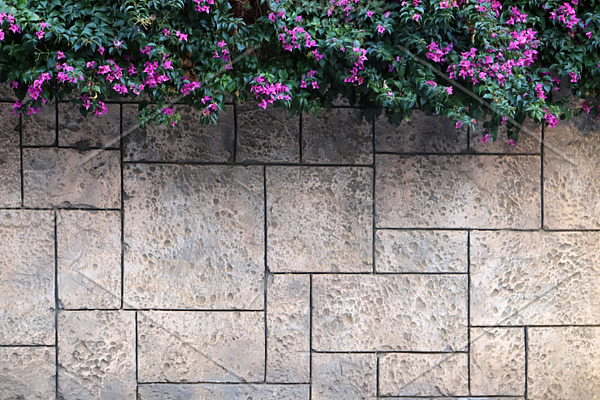 Masonry stucco wall texture