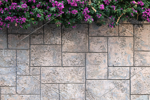 Masonry stucco wall texture