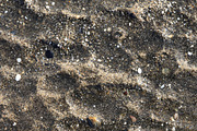Sea rock cliff surface texture