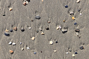 Rare pebble texture