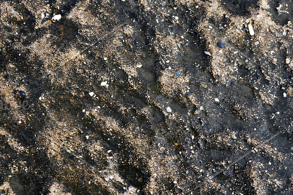 Sea rocky cliff wet texture.