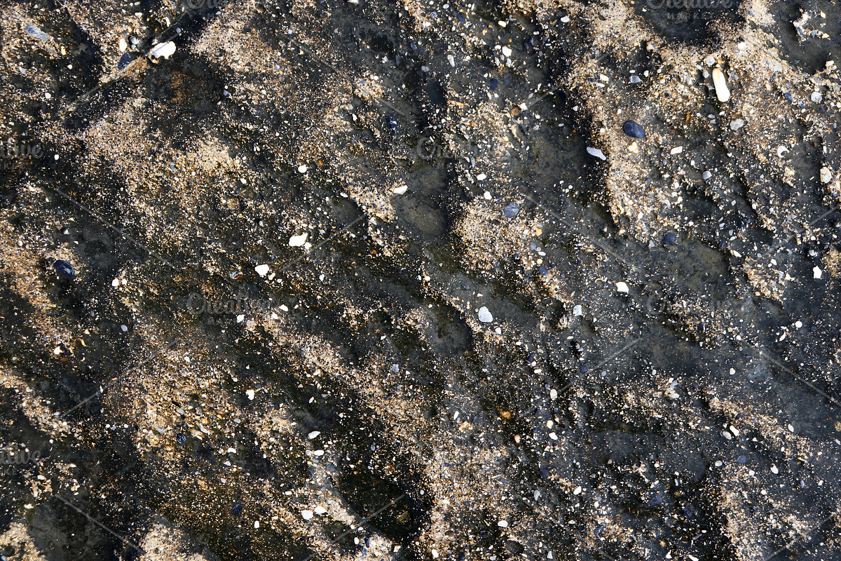 Sea rocky cliff wet texture. in Textures - product preview 8