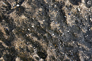 Sea rocky cliff wet texture.