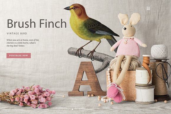 Finch Brush Vintage Watercolor Bird in Illustrations - product preview 3