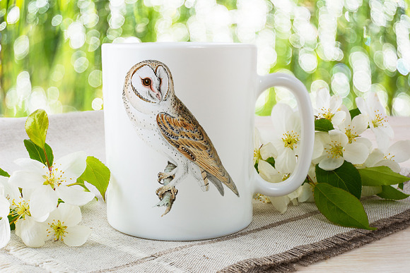 Barn Owl Vintage Watercolor Bird in Illustrations - product preview 5