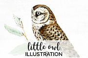 Little Owl Vintage Watercolor Birds