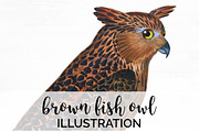 Fish Owl Brown Vintage Bird