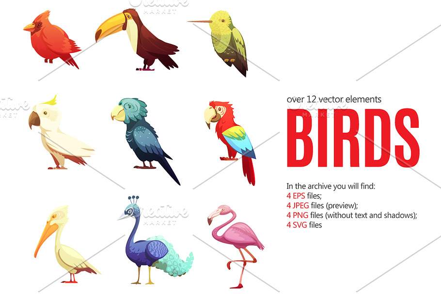 Birds Cartoon Set