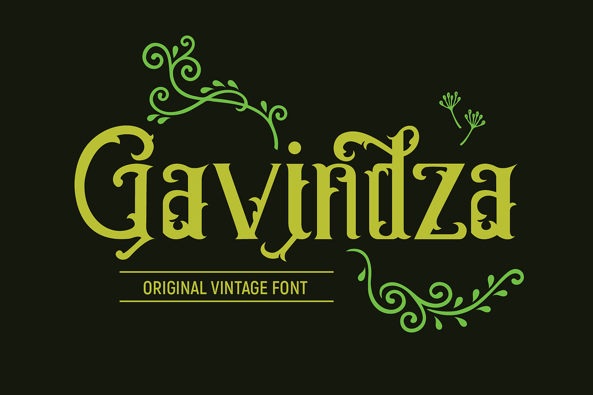 Gavindza in Display Fonts - product preview 8