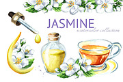 Jasmine. Watercolor collection