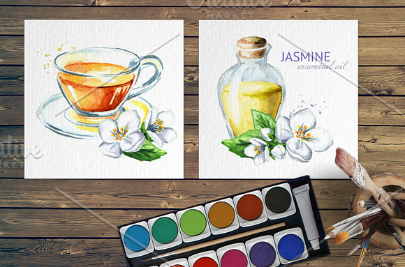 Jasmine. Watercolor collection in Illustrations - product preview 5