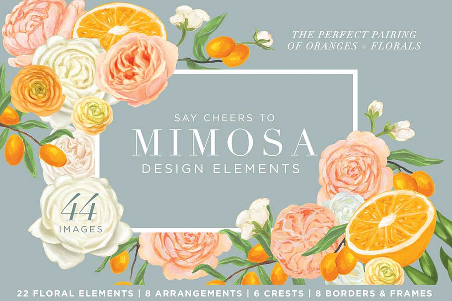 Mimosa Design Set | Oranges + Floral