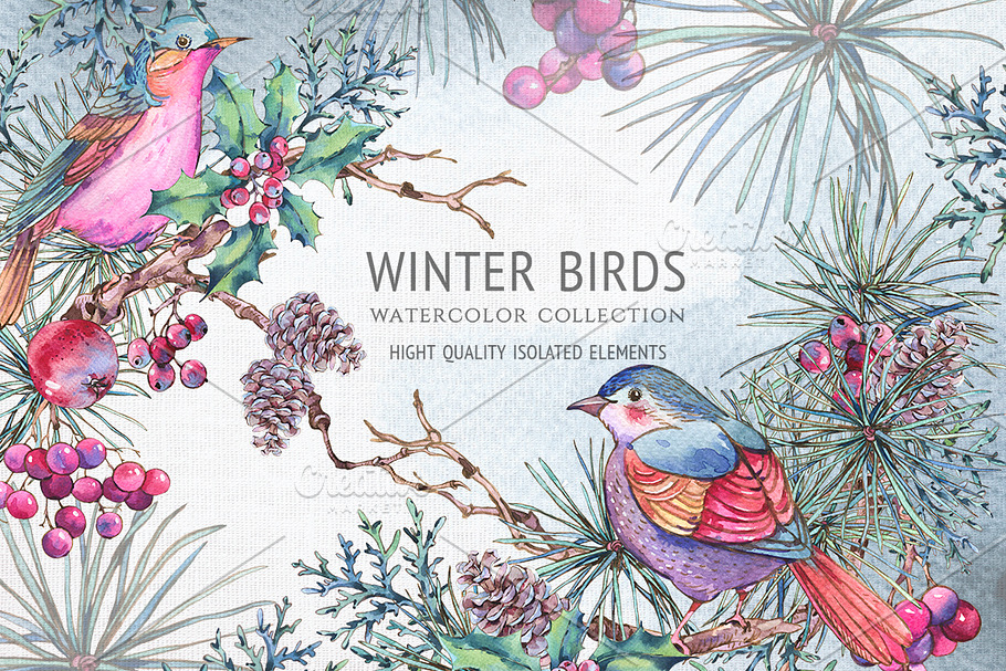 Winter Birds in Illustrations - product preview 8