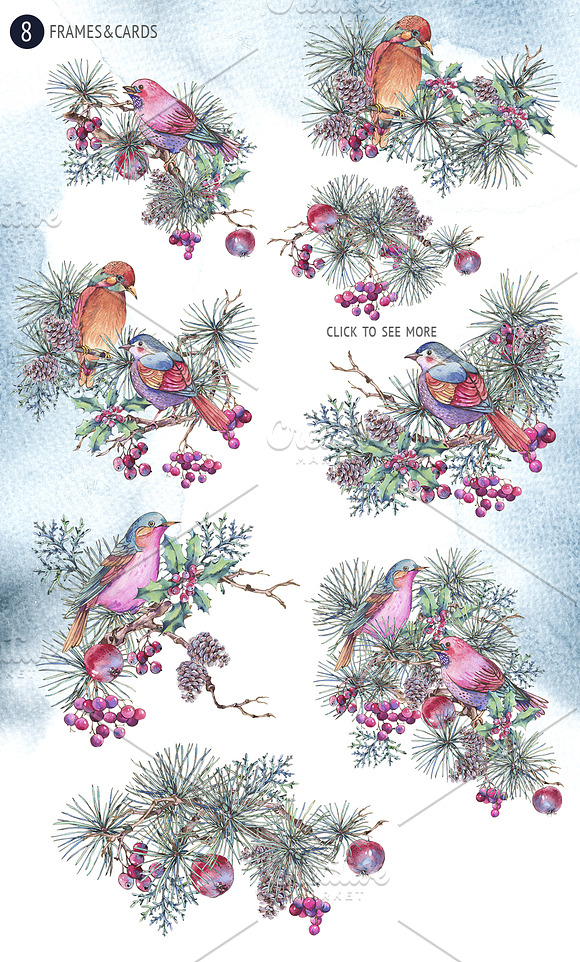 Winter Birds in Illustrations - product preview 1