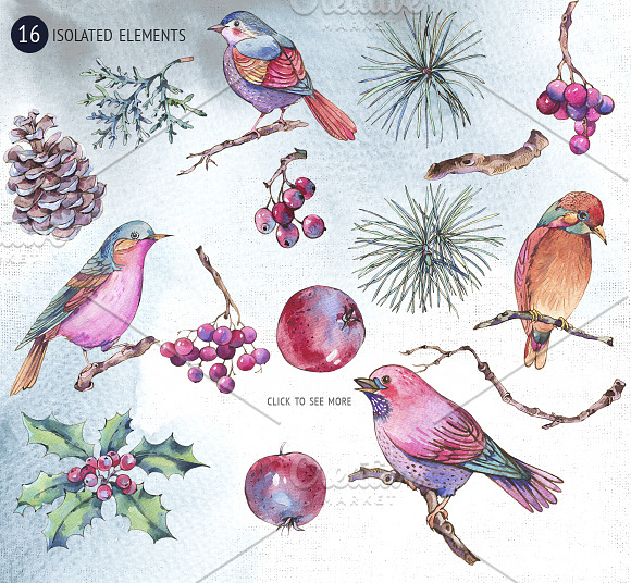 Winter Birds in Illustrations - product preview 4