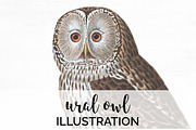 Ural Owl Vintage Watercolor Birds
