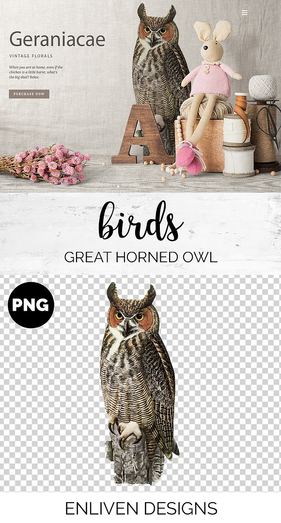 Great Horned Owl Vintage Bird in Illustrations - product preview 1