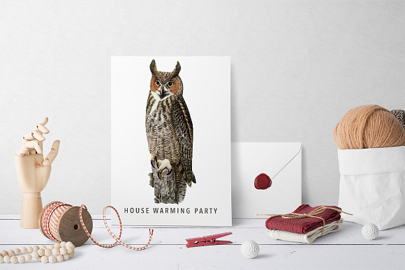 Great Horned Owl Vintage Bird in Illustrations - product preview 5