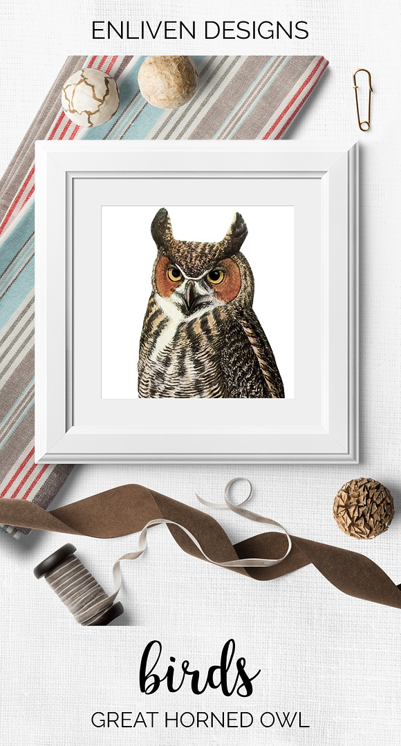Great Horned Owl Vintage Bird in Illustrations - product preview 7