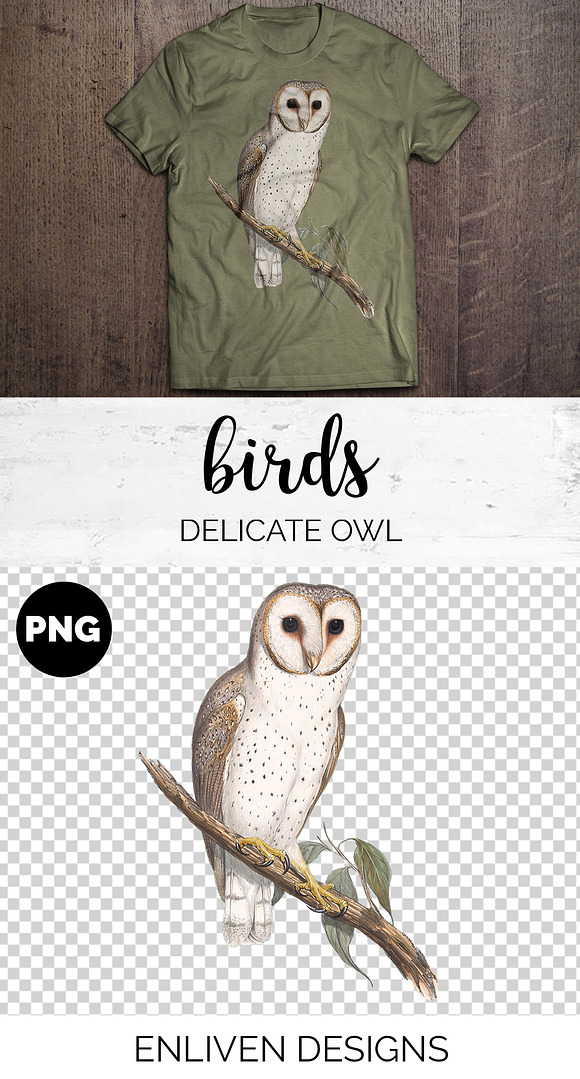 Delicate Owl Vintage Watercolor Bird in Illustrations - product preview 1