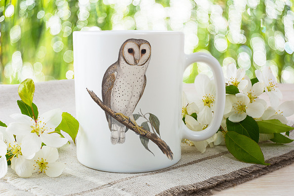 Delicate Owl Vintage Watercolor Bird in Illustrations - product preview 3