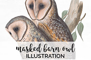 Barn Owl Masked Vintage Birds